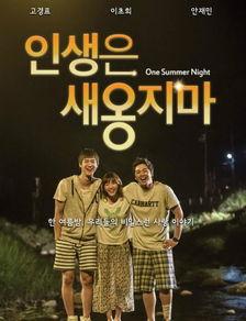夏夜韩国在线观看,浪漫邂逅，在线共赏